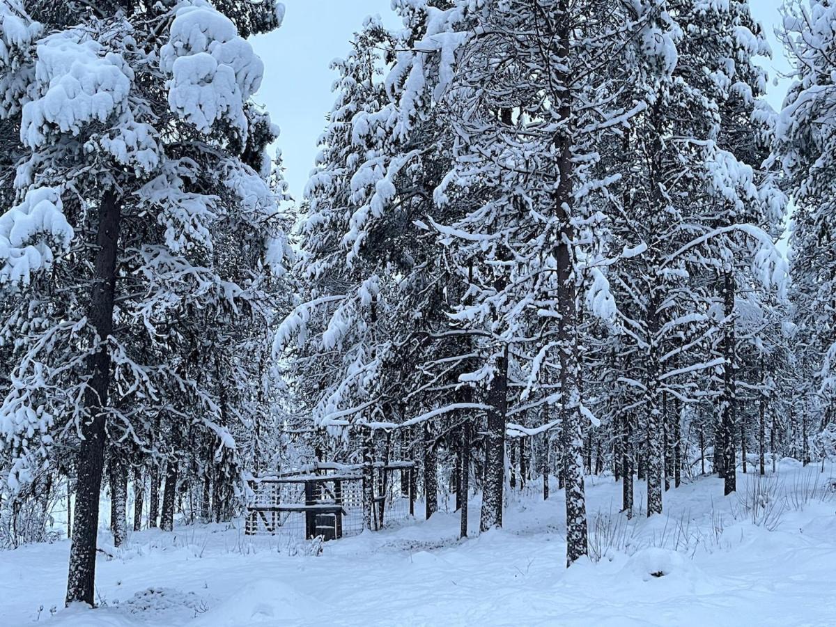 Viihtyisae Moekki Riekkojen Mailla Hetassa Villa Enontekiö Exteriör bild